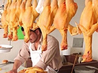 pollo