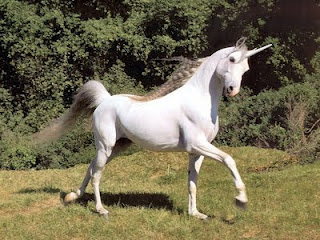 unicornio