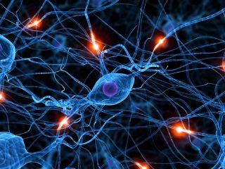 neuronas-parkinson