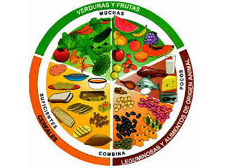 dieta balanceada
