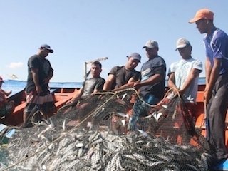 PESCA-web