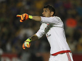 tigres