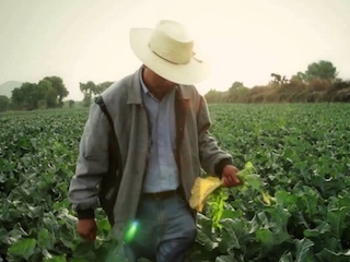 11B1 campo-mexicano-web