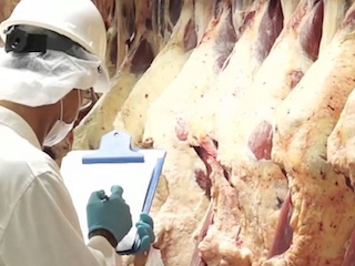 12A1 EXPORTACION CARNE-320x240
