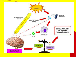 35-temp-corp-medicina-