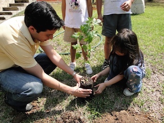 12a arboles2-WEB