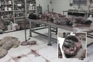7A Fotorepprtaje bantu guimiento3