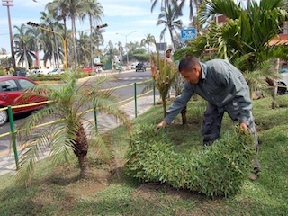 18A image3web