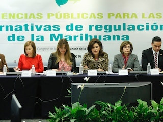 8A MAriguanaweb