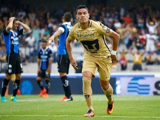 21A Pumasweb