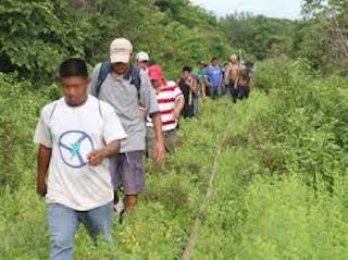 migrantes