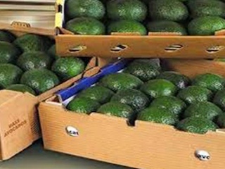 inter economica1web