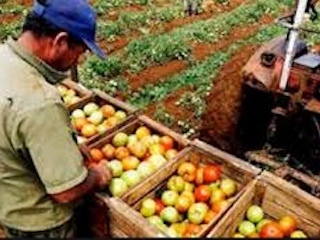economia nacional2web
