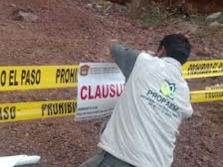 edomex1web