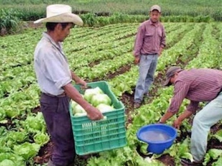 economia nacional1web