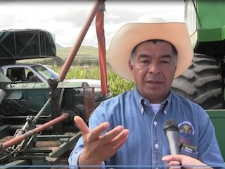 edomex1web