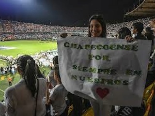 fut interweb