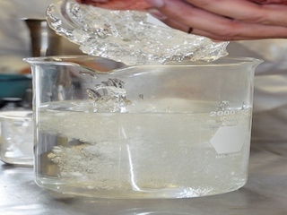 cienciaweb