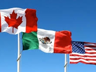 breve nacional2web