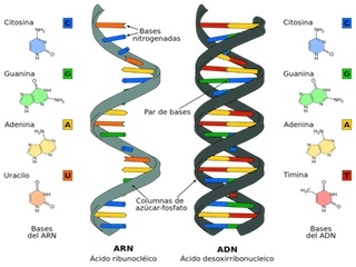 cienciaweb
