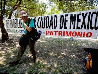 gdf1web