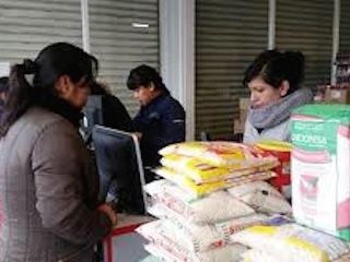 edomex1web