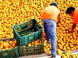 economia nacional1web