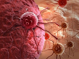 cienciaweb
