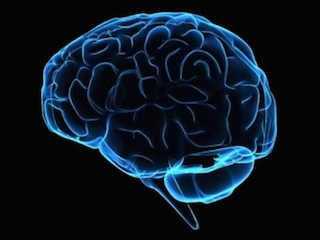 cienciaweb