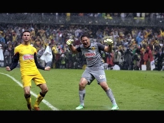 fut interweb
