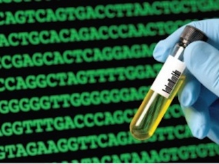 cienciaweb