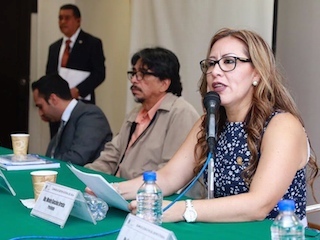 ciudadweb