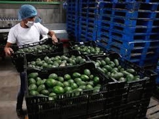 economia nacionalweb