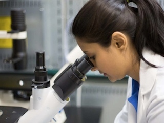 cienciaweb