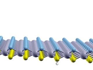 cienciaweb