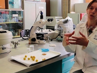 CIENCIAweb