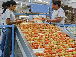 econa web