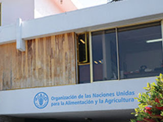 estados