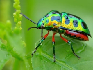 025CIENCIA-web