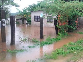 estadosweb