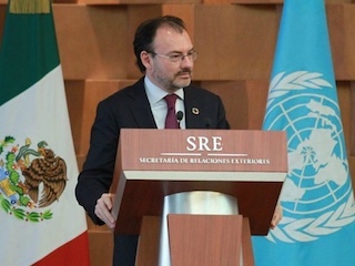 IPol-Videgaray-w