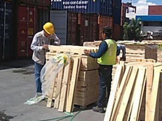 econal-madera-plaga-w