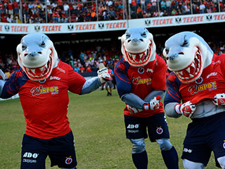 FutMX-TiburonesRojos web