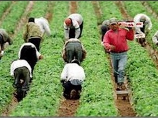 ecoint-migrantesW