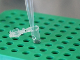 ciencia-biotecnologia-WEB