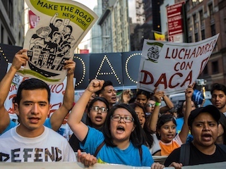 inteco-daca-WEB