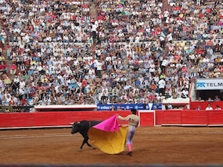 vd-torosmexicoWEB
