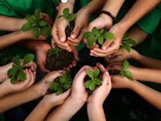 GDF-educacion-ambiental-WB