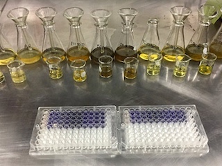 ciencia-chaya-WB