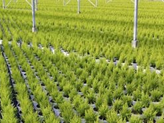 inteco-agricultura-WB